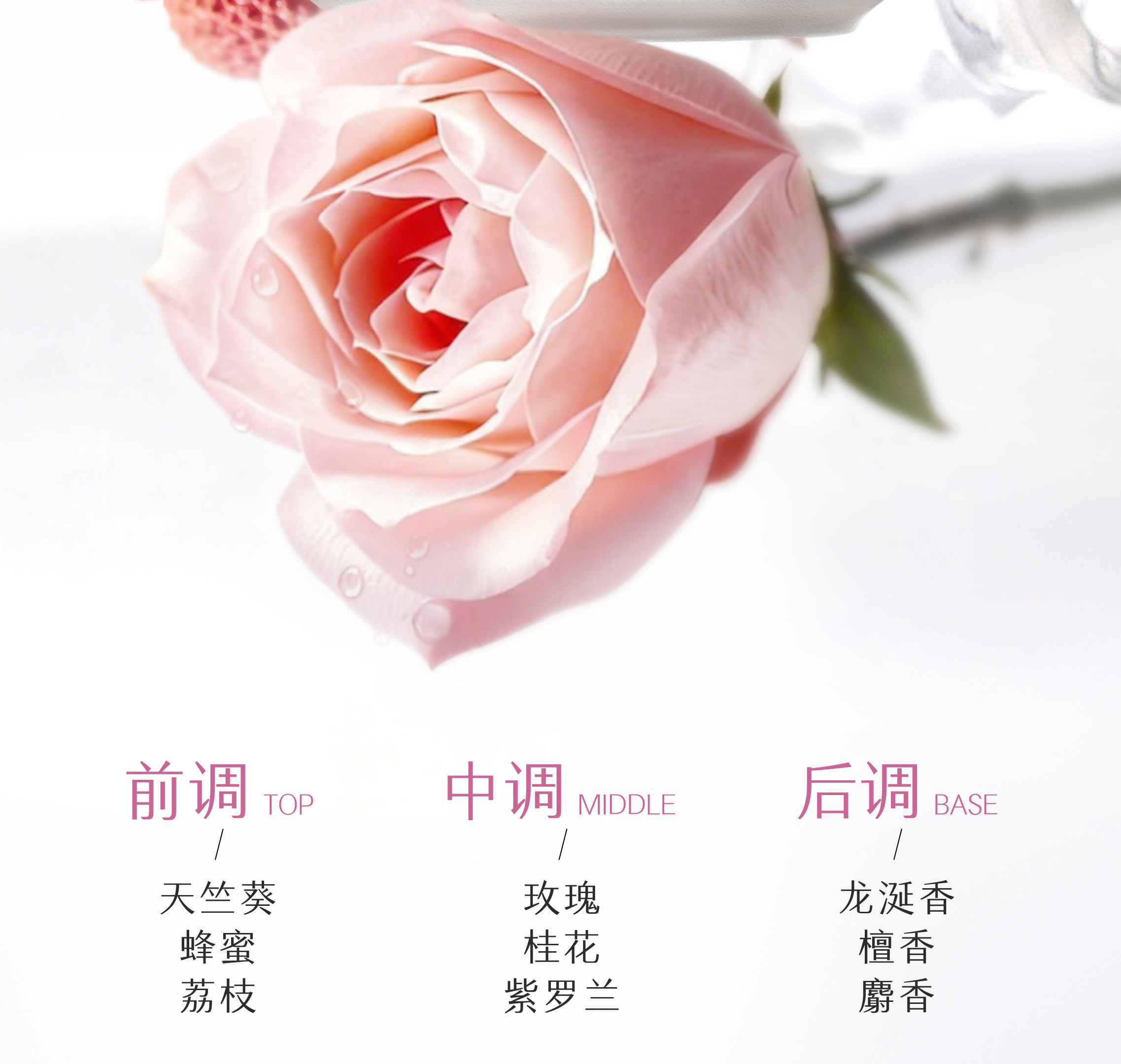 【中国直邮】 半亩花田 美白净滑香氛磨砂膏 身体去角质全身沐浴 200g