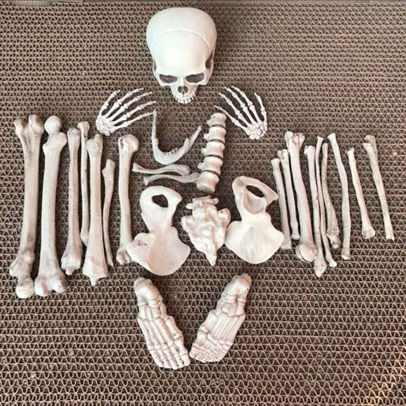 Bar Haunted House Escape Room Props Halloween Decorations Skeleton Bones 28 Loose Bones Skull Human Bones