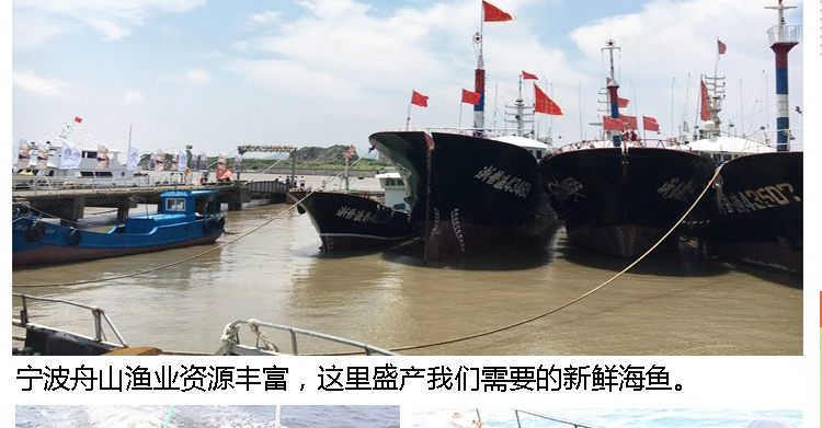 [15 tháng 3] Thức ăn cho mèo thành mèo Tự làm thức ăn cho mèo tự nhiên Mèo già ngoáy miệng mèo cá thịt 3,3 kg - Cat Staples catsrang