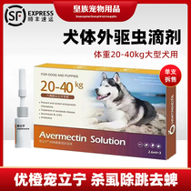 Excellent orange pet Lining in vitro anthelmintic drops large dogs kill flea mites except ticks and mosquitoes