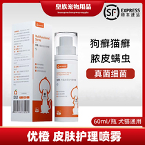 Excellent orange dog cat skin care spray spray dog skin fungus bacteria Cat Moss mites topical hair loss cat ringworm
