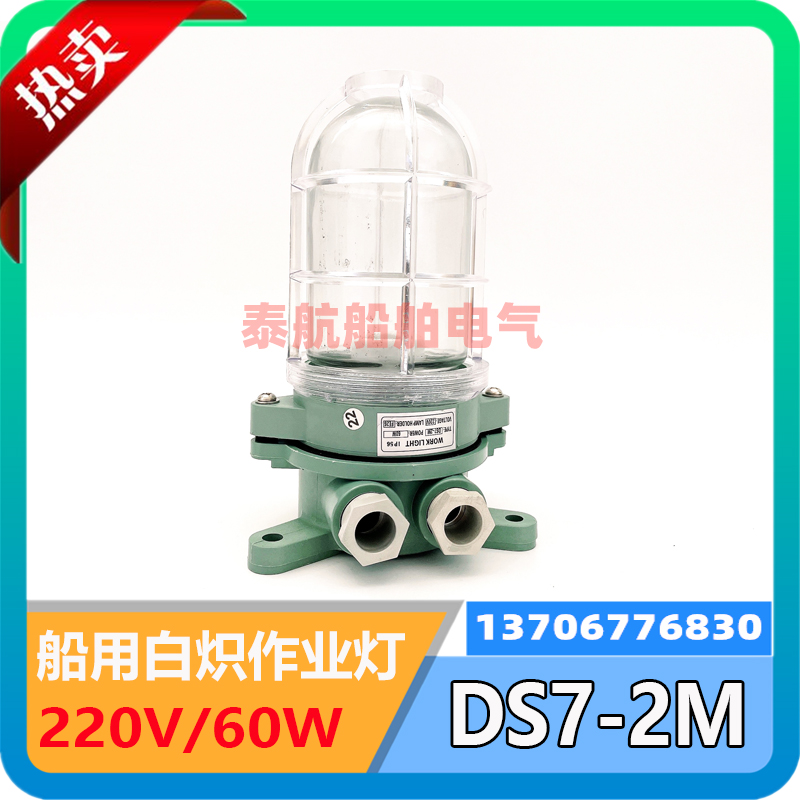 Marine plastic resin incandescent lamp DS7-2M 1M 3M 4M waterproof cabin ceiling lamp 220V60W Ming red green