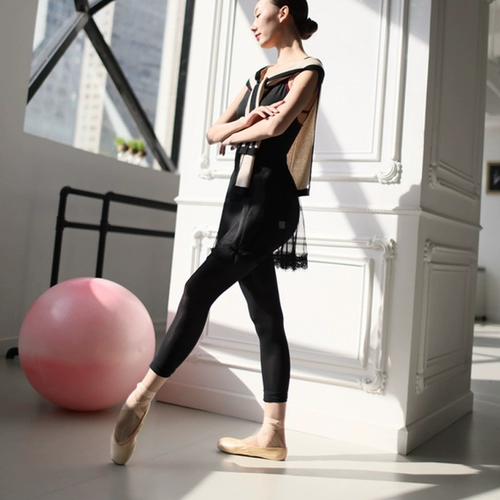 Michelledance Swan -Velvet Professional Ballet European Powder/Black Socks Countyhose, чтобы купить три подарка
