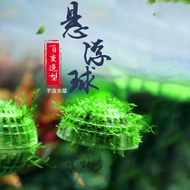 Aquarium Township] Water grass suspension ball crystal shrimp tank moss suspension moss shrimp nest crystal ball fish tank landscape decoration