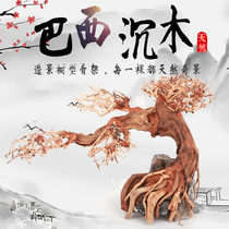 Brazilian Dull Wood Fish Shrimp Cylinder Build Landscape Basil Wood Water Grass Vat Natural Twigs Greet Pine Dragon Back Styling Moss Trees