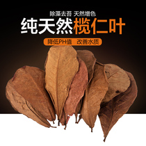 Lazy kernel leaf natural lazy man leaf aquarium small tropical fish lantern fish dragon fish tortoise shrimp tank acid water Family pH value