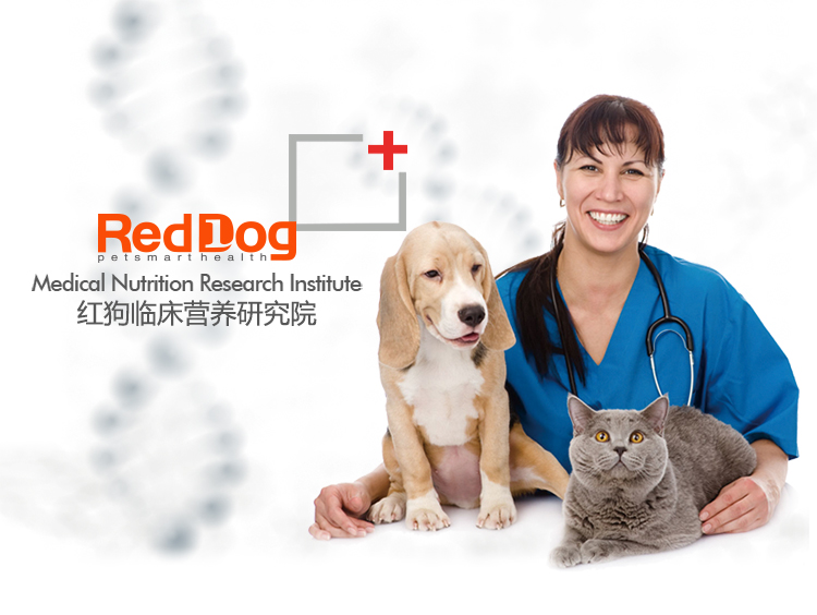 Con chó màu đỏ kem dinh dưỡng 120 gam Jin Mao Teddy dog ​​dinh dưỡng puppies mèo tốc độ bổ sung dinh dưỡng pet sản phẩm sức khỏe sữa bột cho chó