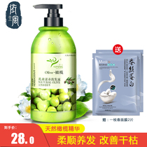 olive ex-wind olive lotion nourishing and shampoo 720g controlled oil stop oxygen flexo to improve the rough shampoo