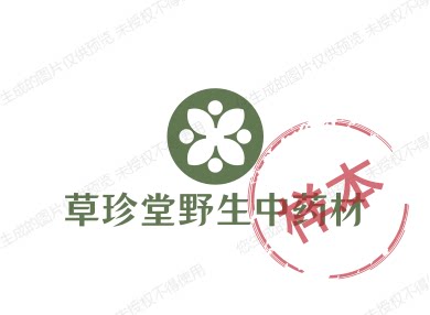 荷花池传统滋补批发