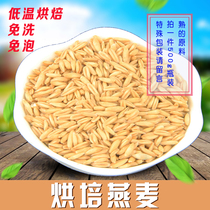 Cooked Baking Now Mill Soy Milk Grinding Powder Raw Material Peeled Oat Rice Mackerino Wheat single product 500G full RMB18