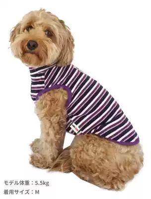 Liangliang handsome handsome home welfare section A Japanese DOG DEPT lone product special imported fabric striped vest