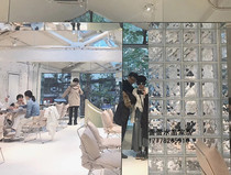 Ultra white imported glass brick partition Xuanguan Toilet Partition Dry Wet Separation Zone Partition