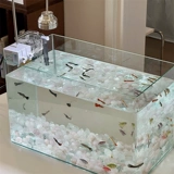 *Красивая маленькая тетя*xiaohongshu тот же рабочий стол в маленькой рыбной танк