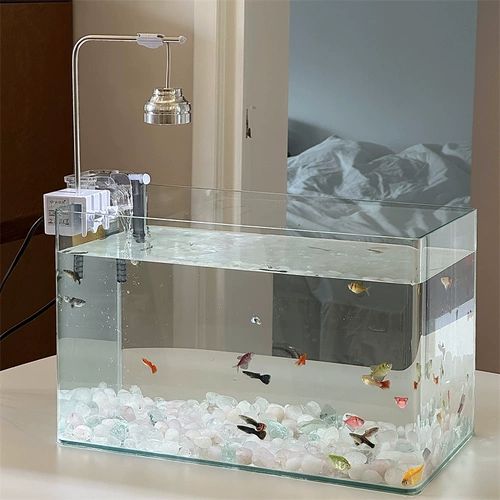 *Красивая маленькая тетя*xiaohongshu тот же рабочий стол в маленькой рыбной танк