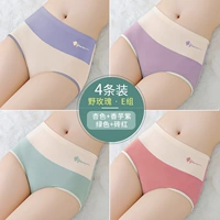 Группа E-Apricot+Taro Purple+Green+Brick Red 【4 Установка моделей хлопка с высокой талией】