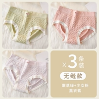 [3 части установки] Нежная трава зеленая+порошок для девочек+копченые пурпурные кремовые брюки 3 штуки