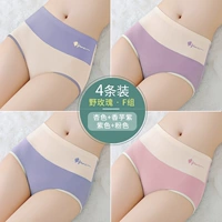 Группа F-Apricot+Taro Purple+Purple+Pink [4 Установка хлопковых моделей с высокой талией]