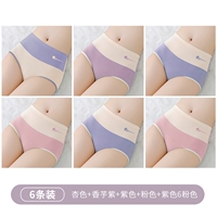 Абрикосовый, сиреневый, розовый, хлопковый, высокая талия