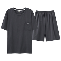 Modal mens pajamas summer 2024 new short-sleeved solid color simple mens summer ice silk home clothes set