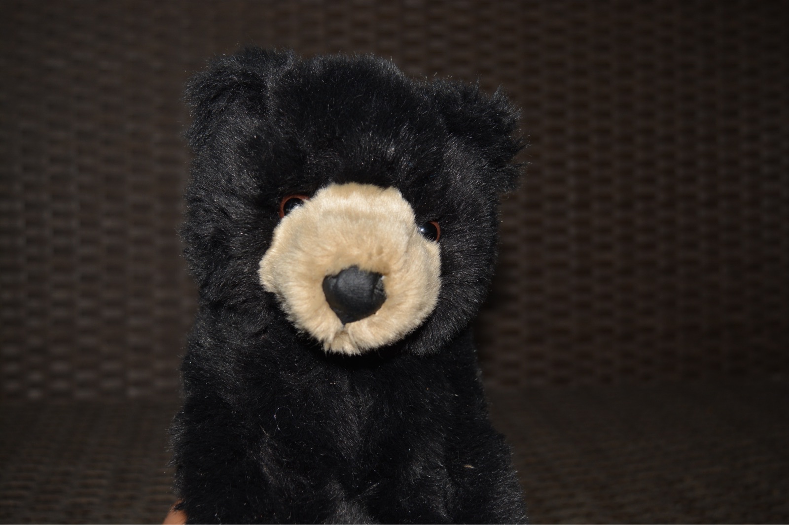 221125 original American JAAG Black Dog Dog Doll Doll Foreign Trade Export Plurk Toys Long 26 CM