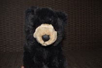 Lose Money special deal with European and American boutique JAAG Black Bear plush toy doll long 26cm black dog Bear