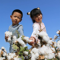 8 kg Xinjiang cotton quilt cotton wool first-class plush cotton 100% cotton quilt core mattress mattress thickened to keep warm winter quilt