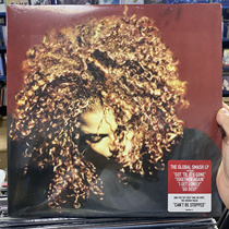 Spot Janet Jackson The Velvet Rope vinyl record 2LP
