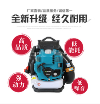 Back Negative Hair Dryer Four Stroke High Power Petrol Blow Force Fire Extinguishing snow machine road Greenhouse Leaves