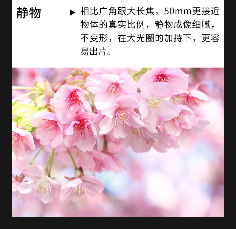 товар из китая 咔鑫达50mm f0.95全画幅定焦手动镜头适用于索尼e尼康z卡口