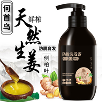 Ginger anti-hair hair shampoo oil control hair increase hair prevention hair loss nourishing essence Shampoo Shampoo