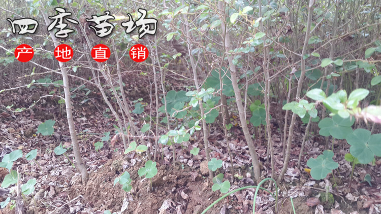  20151107_103657.jpg