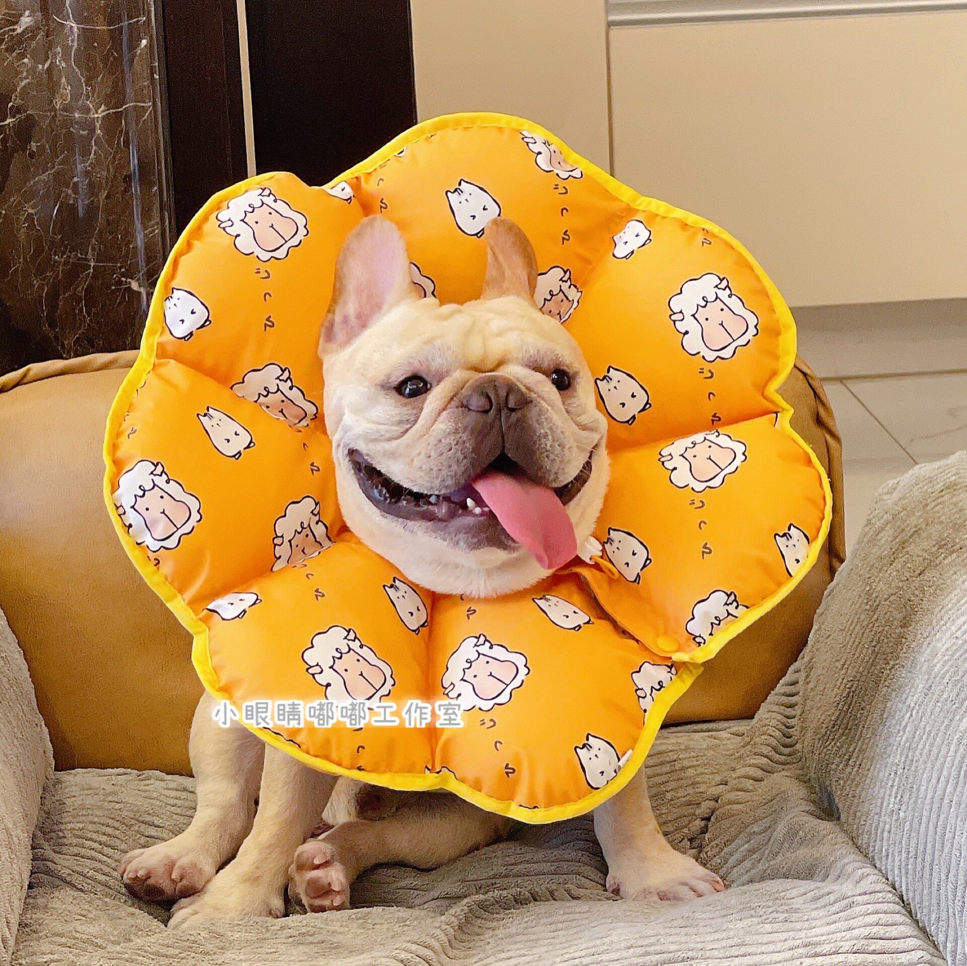 Small eyes Home Pet Sunflower Cat Cat Pooch Elizabeth Anti-Licking Ring Soft Anti-Water Dragon Headgear Sunflower