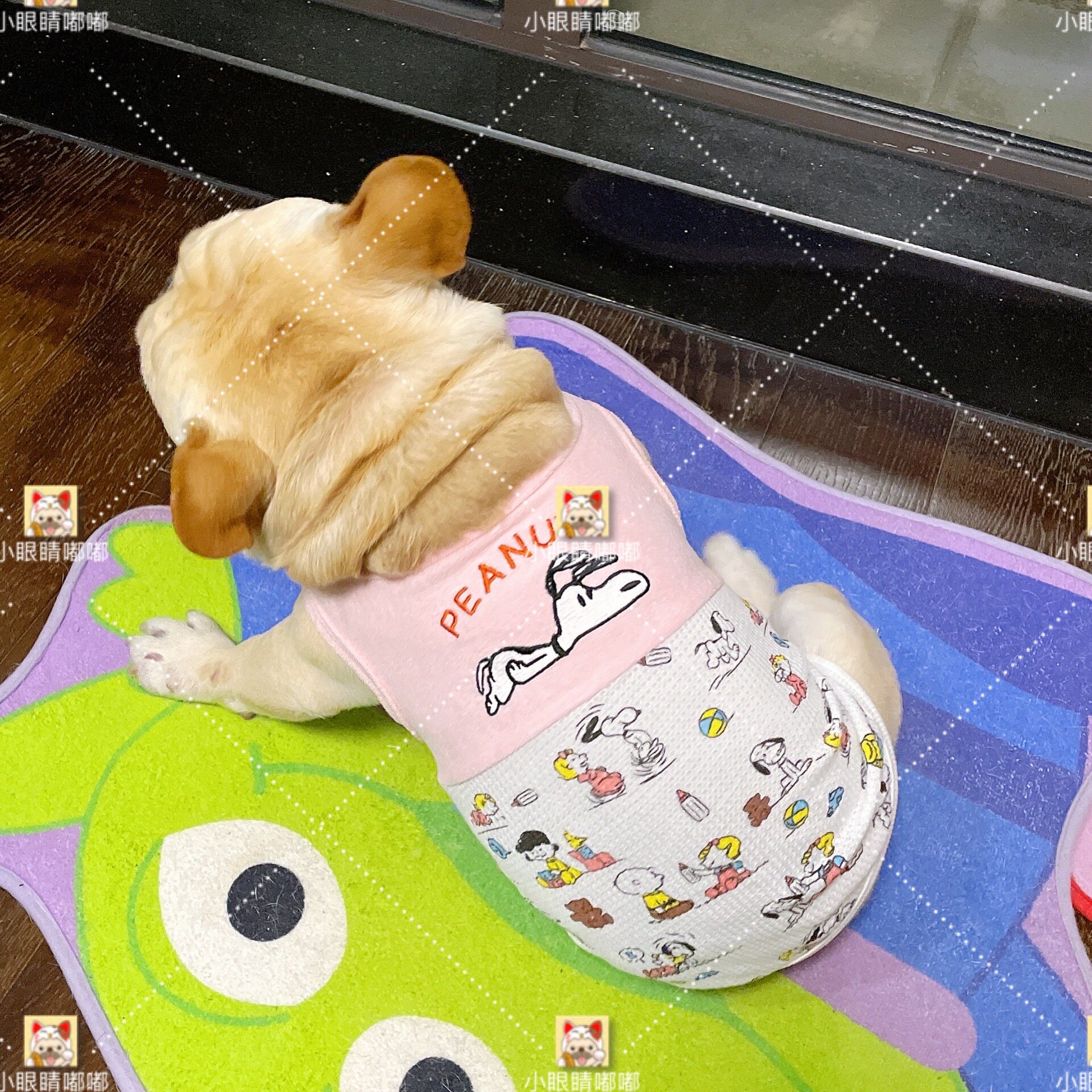 Small eyes home FDU Snoopy embroidery stitched up a small vest