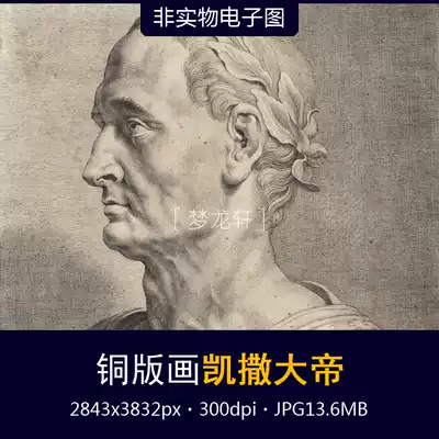 Copperplate print Julius Caesar, Sweden, Skoloster Castle, hidden figure portrait, side image, electronic map