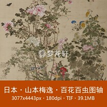 Yamamoto Meiyi Baihua Centaline Figure axis Japanese famous painting Chinese painting meticulous flower and bird painting non-physical electronic picture