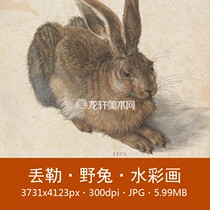 Düller Hare watercolor painting German world famous painting watercolor animal rabbit non-physical electronic picture material