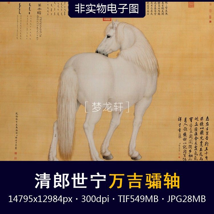 骨董掛け軸】犬図 中国郎世寧 清時代 肉筆保證 唐物唐本 掛け軸 捲り