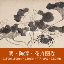 Chen Chun flower picture scroll Shanghai Museum Tibetan Ming Dynasty freehand ink flower and bird painting electronic picture material