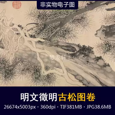 Wen Jing Ming ancient pine picture scroll picture core Ming Dynasty Wen Jing Ming ink painting Cangsong ancient tree Chinese painting high-definition electronic picture
