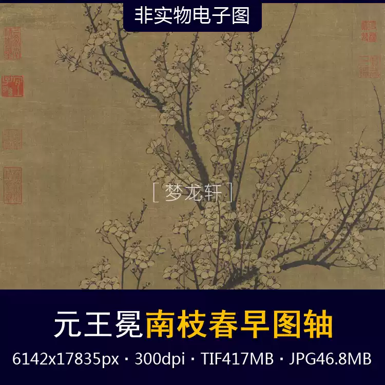 王冕南枝春早图轴元代名画梅花墨梅水墨花鸟画国画高清素材
