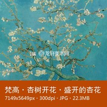 Van Gogh apricot tree flowering Dutch Post-Impressionist oil painting in full bloom Apricot flower electronic picture material