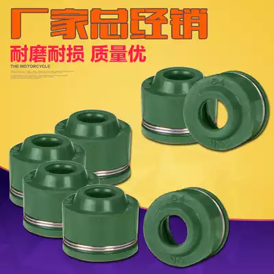 Suitable for Yamaba small big drum horse FZR250 FZR400 Dolphin FZ400 XJR400 valve oil seal