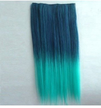 Extension cheveux - Ref 226506 Image 19