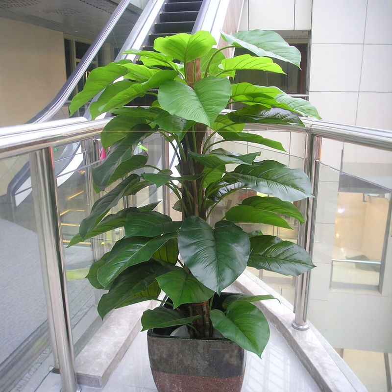 Artificial Plant Fake Decorative Flower Tree Single Stem with Brown Rubber Leaves Large Medium-Sized Green Radish Leaves Dripping Water Living Room Dragon Boat Festival Gift