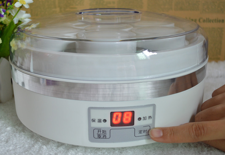 Máy làm sữa chua 7 ly - Sản xuất sữa chua 