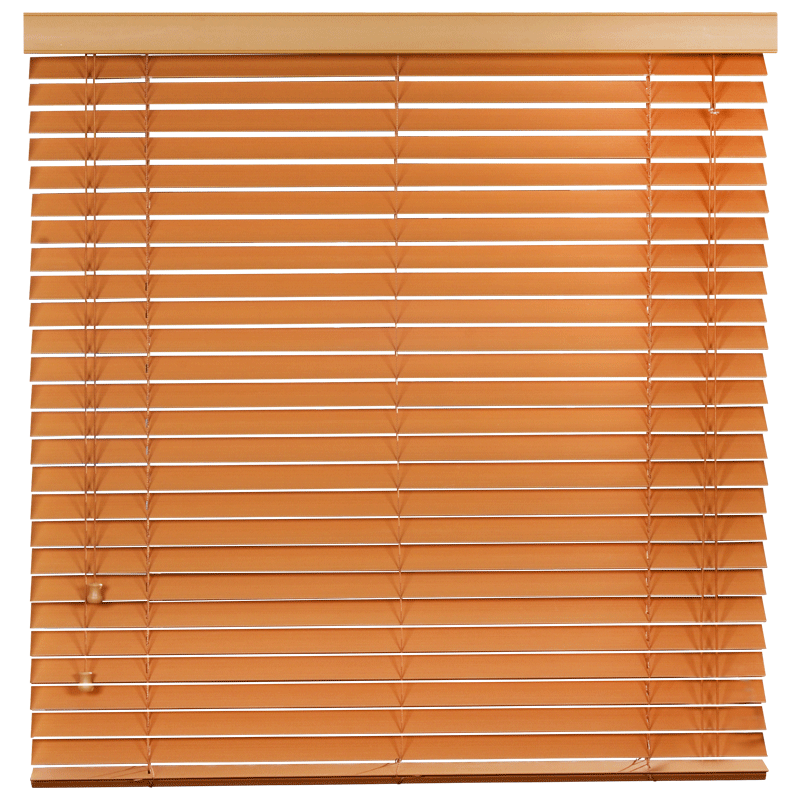 ���ж���˹�ľʵľ��Ҷ����DMBY