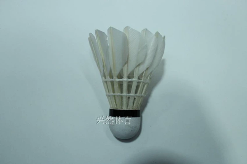 Cầu lông Hongyu 101 đích thực chống vua, bóng tập không tệ, ổn định bay, 12 gói quần áo đánh cầu lông nam