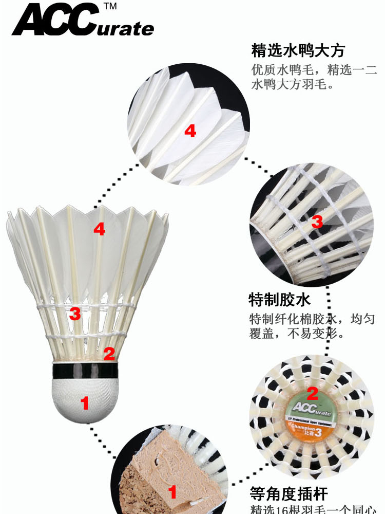 ACC thi đấu cầu lông số 3 để chống lại sự ổn định của nhà vua vợt fleet