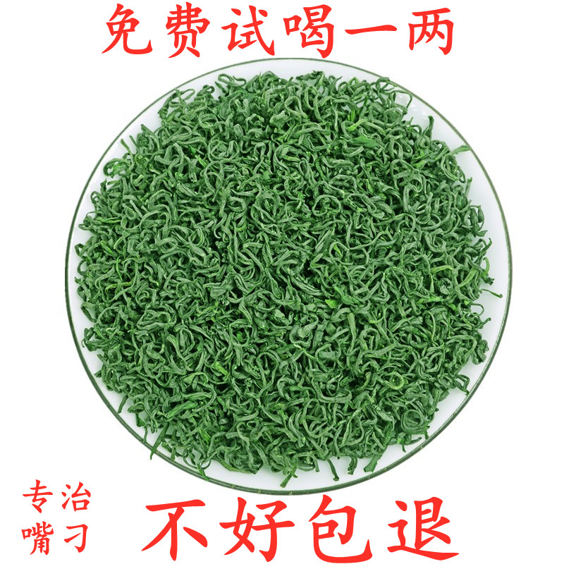 Sunrise Green Tea 2023 new Tea Special Authentic Chestnut Tea Breeze Tea Bud before Budding