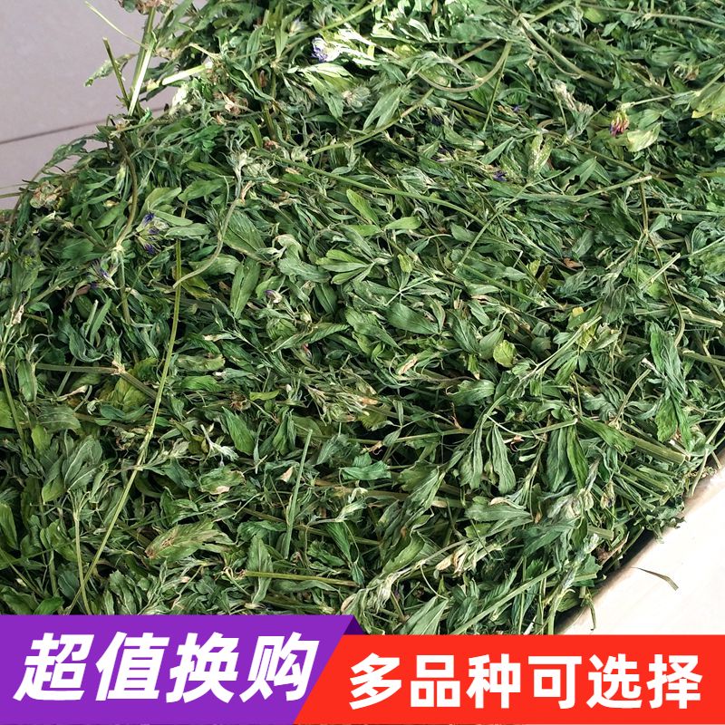 Leaf multi-Rod fine alfalfa grass tip grass head special alfalfa grass dragon cat Dutch pig rabbit grass grain Hay